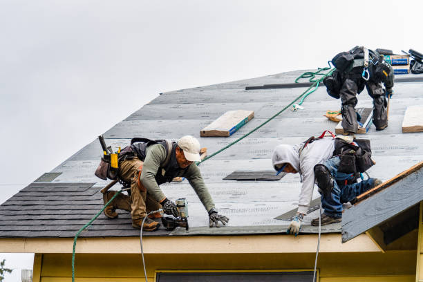 Professional Gutter Installation technician working in Chokoloskee, FL